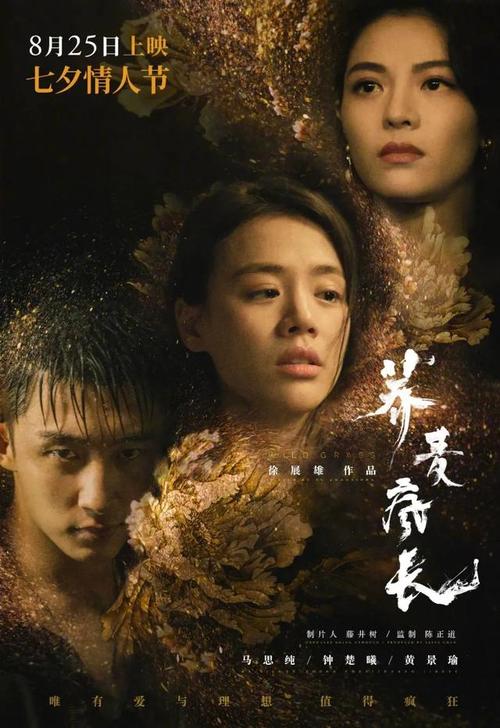 怎么买假的乍得签证